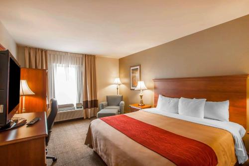 a hotel room with a bed and a television at Quality Inn & Suites Germantown North in Memphis