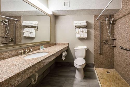 a bathroom with a toilet and a sink and a mirror at Clarion Inn & Suites near Downtown in Knoxville