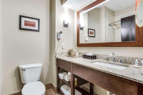 a bathroom with a toilet and a sink and a mirror at Comfort Inn & Suites Love Field-Dallas Market Center in Dallas