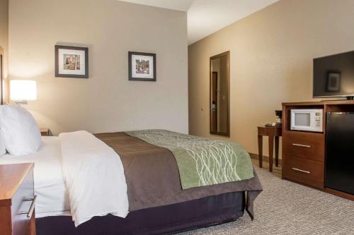 a hotel room with a bed and a flat screen tv at Comfort Inn Edinburg South in Edinburg