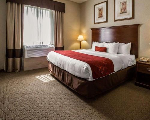a hotel room with a large bed and a window at Comfort Suites Stafford Near Sugarland in Stafford