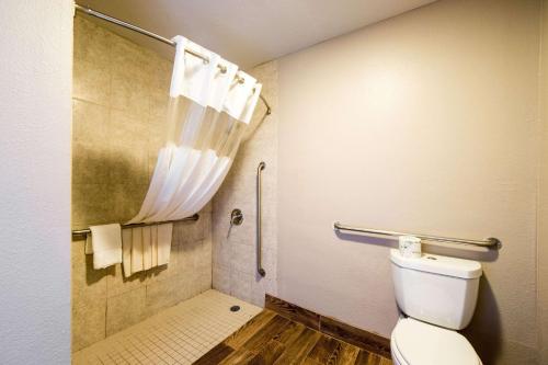 a bathroom with a toilet and a shower at Quality Inn University near Downtown in San Marcos