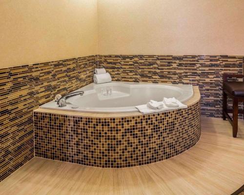 Ảnh trong thư viện ảnh của Comfort Suites Stafford Near Sugarland ở Stafford