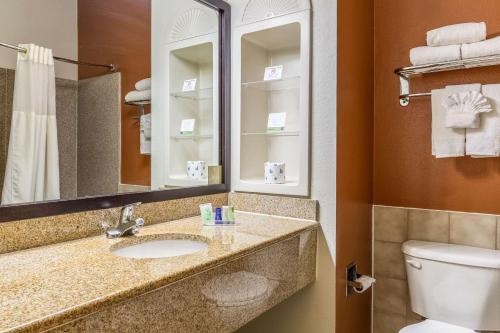 a bathroom with a sink and a toilet and a mirror at Sleep Inn & Suites Stafford - Sugarland in Stafford