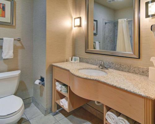 a bathroom with a sink and a toilet and a mirror at Comfort Suites Lindale in Lindale