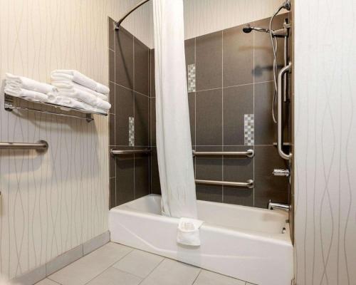 a bathroom with a shower and a tub and a toilet at Comfort Suites Greenville in Greenville