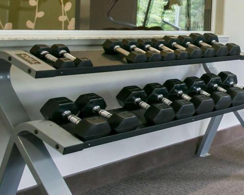 a shelf with dumbbells on top of a table at Sleep Inn & Suites Round Rock - Austin North in Round Rock