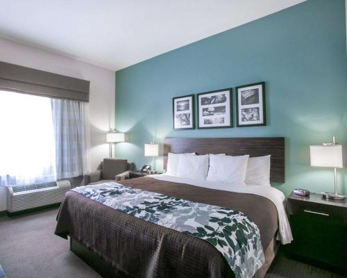 Postel nebo postele na pokoji v ubytování Sleep Inn & Suites Austin North - I-35