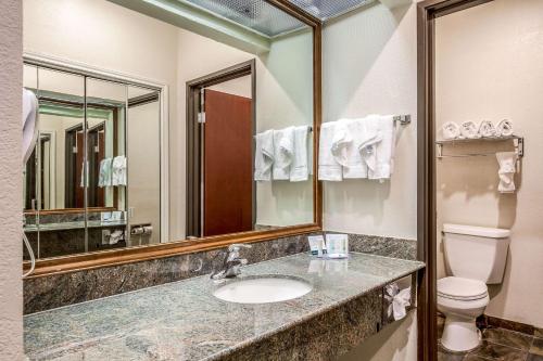 La salle de bains est pourvue d'un lavabo, de toilettes et d'un miroir. dans l'établissement Quality Inn and Suites Seabrook - NASA - Kemah, à Seabrook