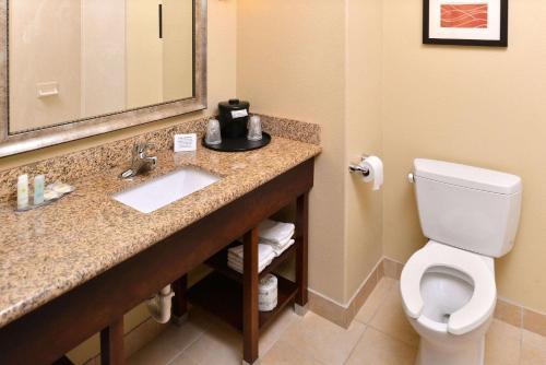 a bathroom with a toilet and a sink and a mirror at Comfort Inn & Suites Mexia in Mexia