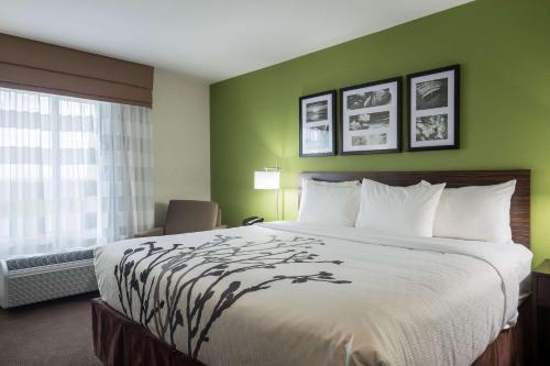 a hotel room with a large bed and a window at Sleep Inn & Suites Ingleside - Corpus Christi in Ingleside