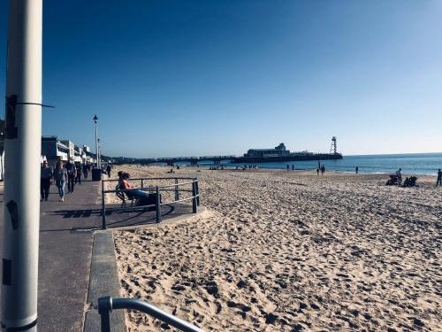 a person sitting on a bench on the beach at Washington House Hotel in Bournemouth