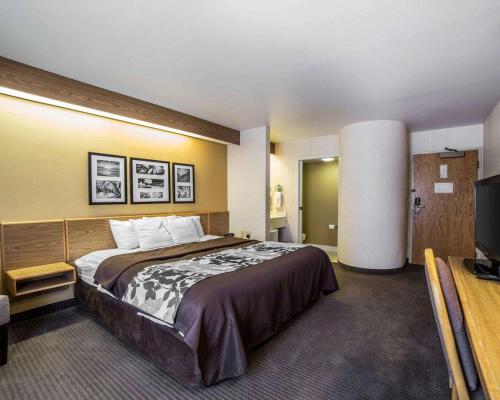 A bed or beds in a room at Quality Inn Moab Slickrock Area