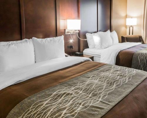 Gallery image of Comfort Inn & Suites Pharr/McAllen in Pharr