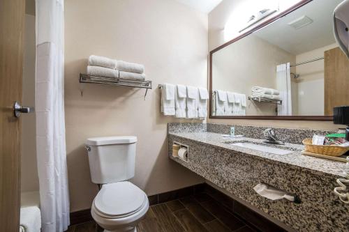 a bathroom with a toilet and a sink and a mirror at Quality Inn Zion Park Area in Hurricane