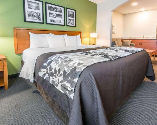 Кровать или кровати в номере Sleep Inn & Suites Winchester near University
