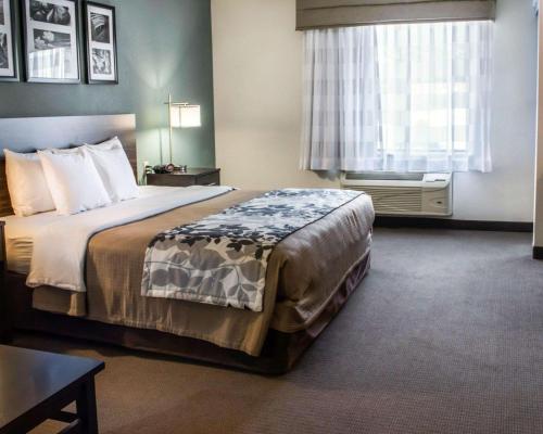 a hotel room with a bed and a window at Sleep Inn & Suites Monticello in Charlottesville