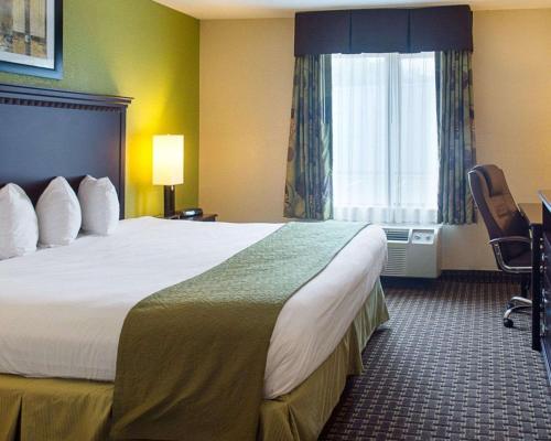 a hotel room with a large bed and a window at Quality Inn & Suites in Stafford