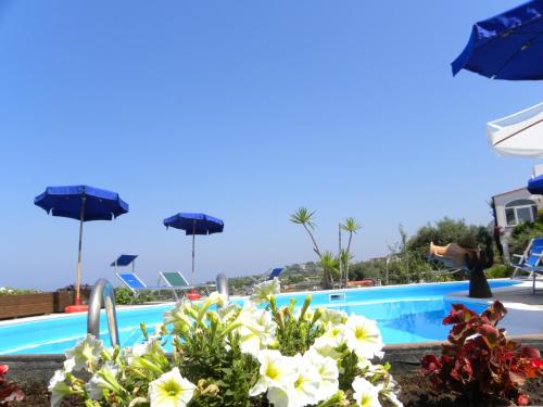 uitzicht op een zwembad met parasols en bloemen bij Agriturismo La Pergola in Ischia