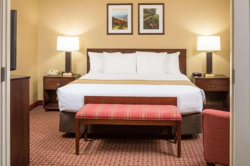 a hotel room with a bed and two lamps at Comfort Inn & Suites Near Burke Mountain in Saint Johnsbury