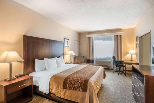 Imagem da galeria de Comfort Inn & Suites Seattle North em Seattle