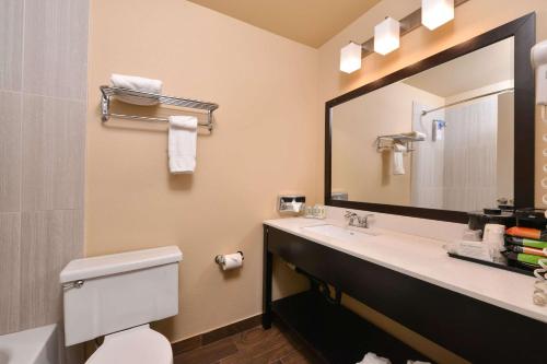 a bathroom with a sink and a mirror and a toilet at Quality Inn Hotel, Kent in Kent