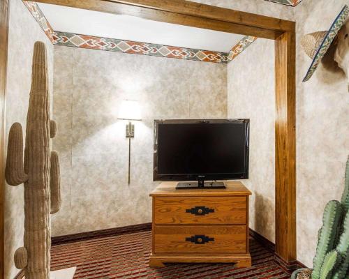 a tv on a stand in a room with a cactus at Rodeway Inn & Suites Madison East in Madison