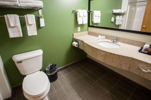 a bathroom with a toilet and a sink with a mirror at Sleep Inn & Suites Conference Center Eau Claire in Union
