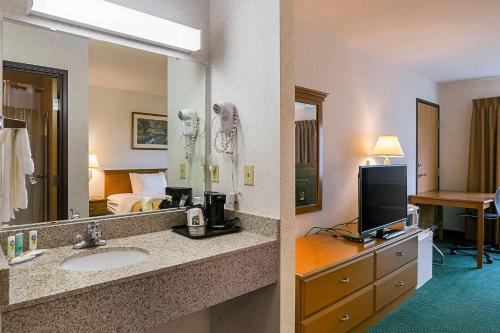 Habitación de hotel con baño con lavabo y TV. en Quality Inn & Suites Belmont Route 151 en Belmont