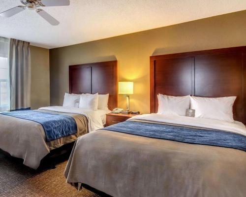 a hotel room with two beds and a phone at Comfort Inn & Suites Grafton-Cedarburg in Grafton