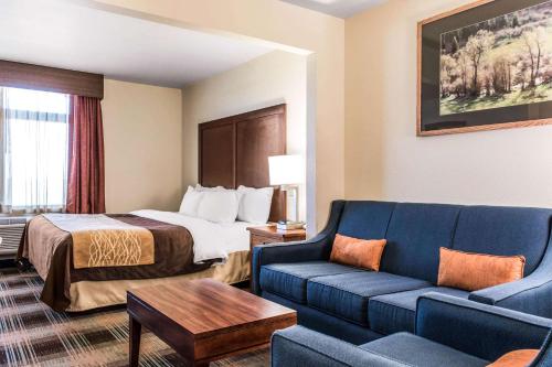Comfort Inn & Suites في شيريدان: غرفه فندقيه بسرير واريكه