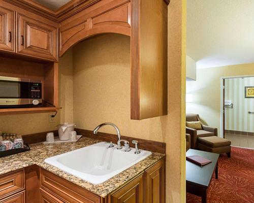 a bathroom with a sink in a room at Comfort Suites Airport in Wichita