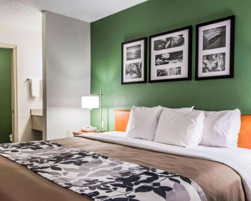 Giường trong phòng chung tại Blankenbaker Inn by IHG