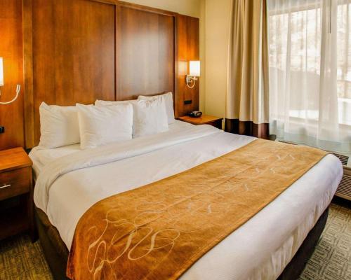 a bedroom with a large bed in a hotel room at Comfort Suites Georgetown in Georgetown