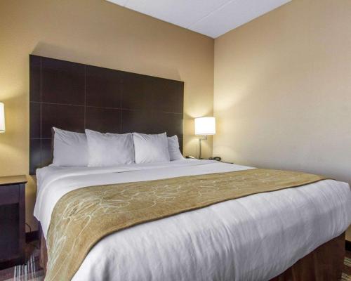 Gallery image of Comfort Suites Airport in Kenner