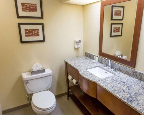 een badkamer met een toilet, een wastafel en een spiegel bij Comfort Inn Hammond in Hammond