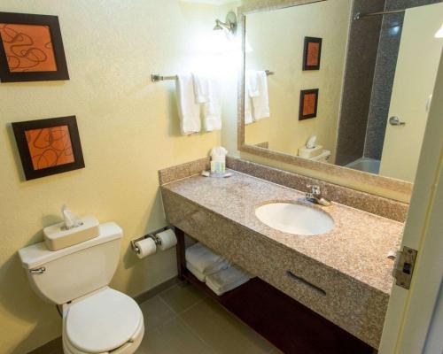 La salle de bains est pourvue de toilettes, d'un lavabo et d'un miroir. dans l'établissement Comfort Suites Port Allen - Baton Rouge, à Port Allen
