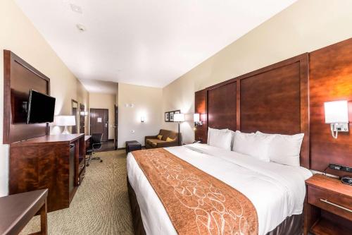 a hotel room with a large bed and a television at Comfort Suites Grand Prairie - Arlington North in Grand Prairie