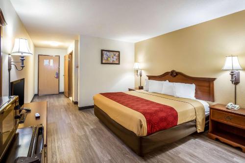 a hotel room with a bed and a television at Econo Lodge Inn & Suites Fairview Heights St Louis in Fairview Heights