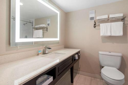 a bathroom with a sink and a toilet and a mirror at Palazzo Lakeside Hotel in Kissimmee