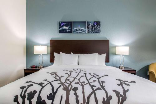 Postel nebo postele na pokoji v ubytování Sleep Inn & Suites Ankeny - Des Moines
