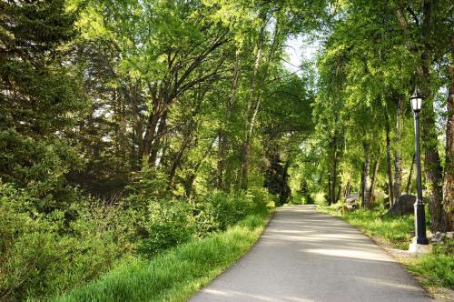 a tree lined road with a street light on the side at The Inn at Riverwalk in Edwards
