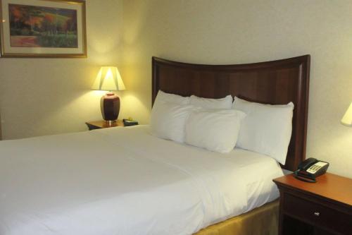 Quality Inn & Suites Owego – Photos 2