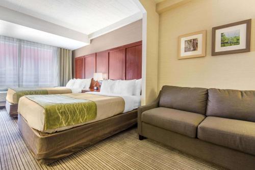 Comfort Inn & Suites Collingwood