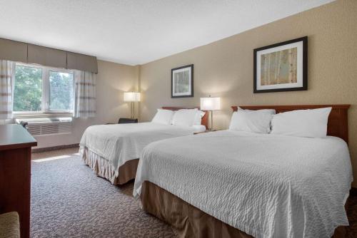 a hotel room with two beds and two windows at Clarion Hotel & Suites in Brandon