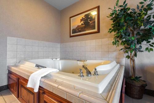 een badkamer met een bad en een plant bij Quality Inn Burlington in Burlington