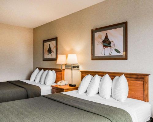 Postel nebo postele na pokoji v ubytování Quality Inn & Suites Montrose - Black Canyon Area