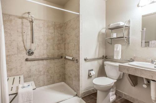 La salle de bains est pourvue de toilettes, d'un lavabo et d'une douche. dans l'établissement Rodeway Inn, à Rifle