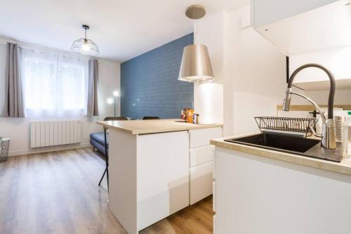 une cuisine avec un évier et un plan de travail dans l'établissement Calme appart rénové Jardin des Plantes Busca, à Toulouse