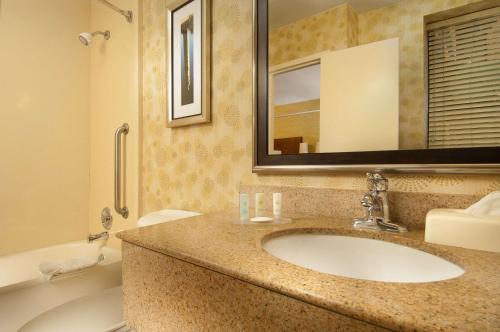 a bathroom with a sink and a tub and a mirror at Comfort Inn Downtown DC/Convention Center in Washington